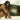 Tarzan: An Original Walt Disney Records Soundtrack