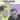 The Best of the Proclaimers