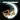 Four Seasons of Love