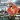 Stillmatic