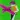 Fluke