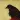 Transatlanticism