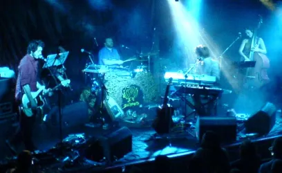 Guillemots