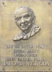 Jaromír Vejvoda