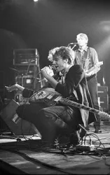 The Triffids