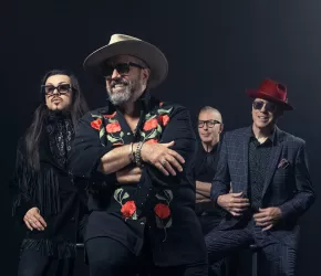 The Mavericks