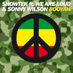 Sonny Wilson