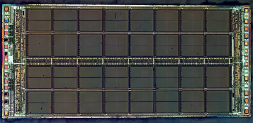 D.R.A.M.