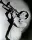 Henry Busse & His Orchestra