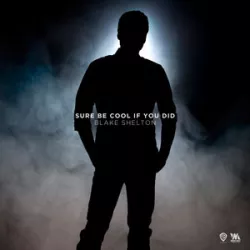 Sure Be Cool If You Did