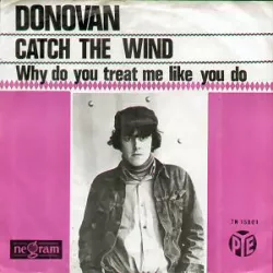 Catch the Wind