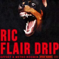 Ric Flair Drip