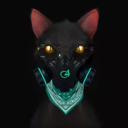Gato de Noche