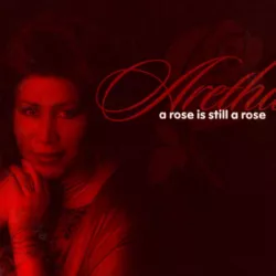 A Rose Is Still a Rose