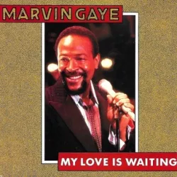My Love Is Waiting