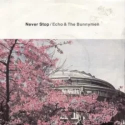 Never Stop