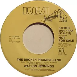 Broken Promise Land