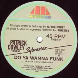 Do You Wanna Funk