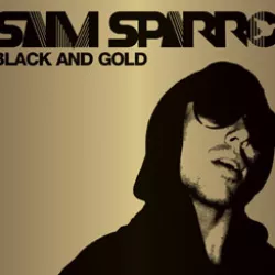 Black and Gold