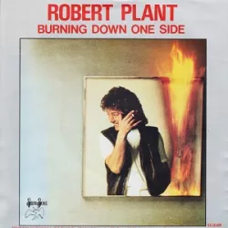 Burning Down One Side