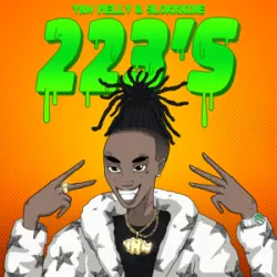 223's