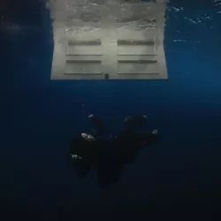 Bittersuite