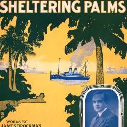 Down Among the Sheltering Palms