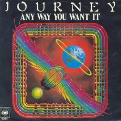 Any Way You Want It