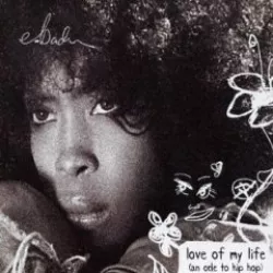 Love of My Life (An Ode to Hip Hop)