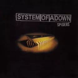 Spiders