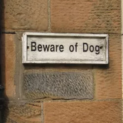 Beware of the Dog