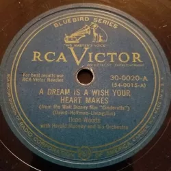A Dream Is a Wish Your Heart Makes