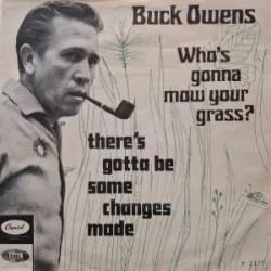 Who's Gonna Mow Your Grass