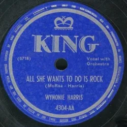 All She Wants to Do is Rock