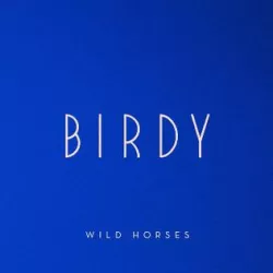 Wild Horses