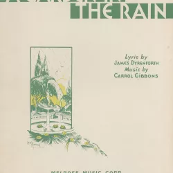 Garden in the Rain