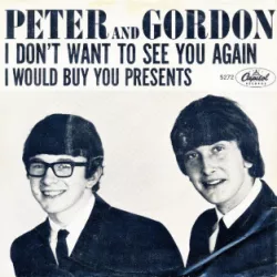 I Don't Want to See You Again