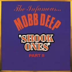 Shook Ones (Part II)