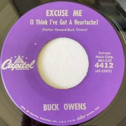 Excuse Me (I Think I've Got a Heartache)