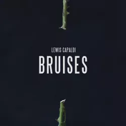 Bruises