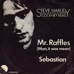 Mr Raffles (Man It Was Mean)