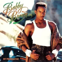 My Prerogative (remix)