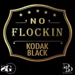 No Flockin