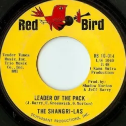Leader of the Pack
