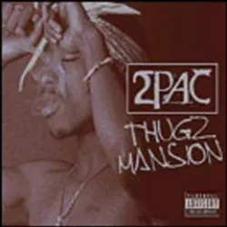 Thugz Mansion