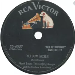 Yellow Roses