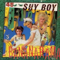 Shy Boy (Don't It Make You Feel Good)