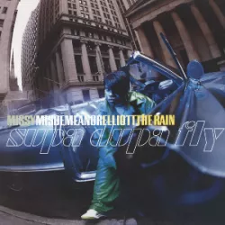 The Rain (Supa Dupa Fly)