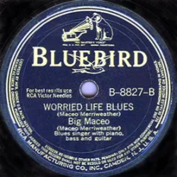 Worried Life Blues