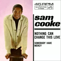Nothing Can Change This Love